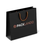 Papiertragetaschen mit Kordelgriff